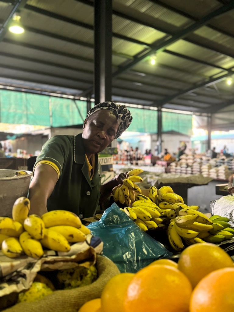 Mercato di Maputo