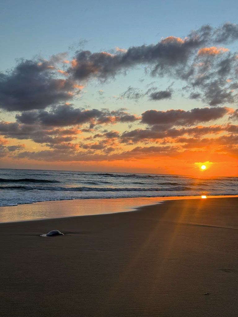 Prime luci su Inhambane