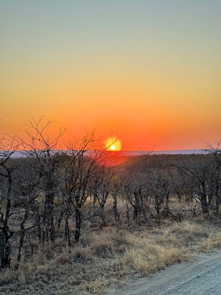 Alba Kruger National Park