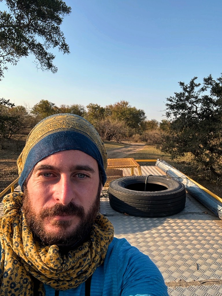 Safari Kruger national park